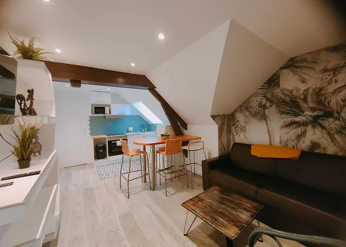 Les Lofts De Provins: Apt 7